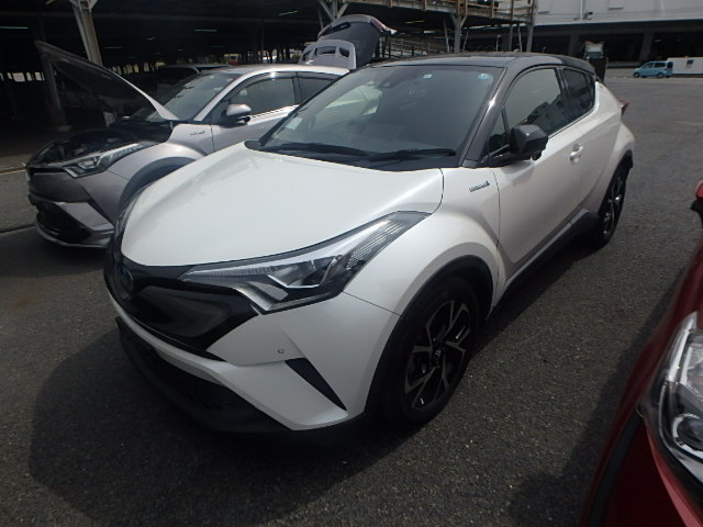 Toyota CHR 2018 Pearl 2 Tone