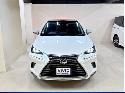 lexusnx300 version l