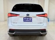 𝐋𝐄𝐗𝐔𝐒 𝐍𝐗 𝟑𝟎𝟎𝐇 𝟐𝟎𝟐𝟎 𝐕𝐄𝐑𝐒𝐈𝐎𝐍 𝐋, 𝐄𝐌𝐈𝐍𝐄𝐍𝐓 𝐖𝐇𝐈𝐓𝐄 𝐏𝐄𝐀𝐑𝐋