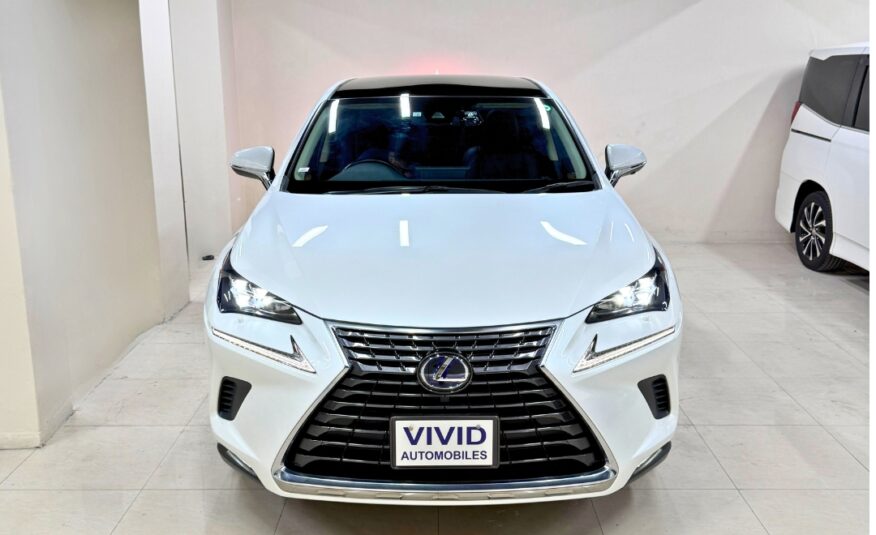 lexusnx300 version l