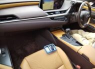 LEXUS ES 300H
