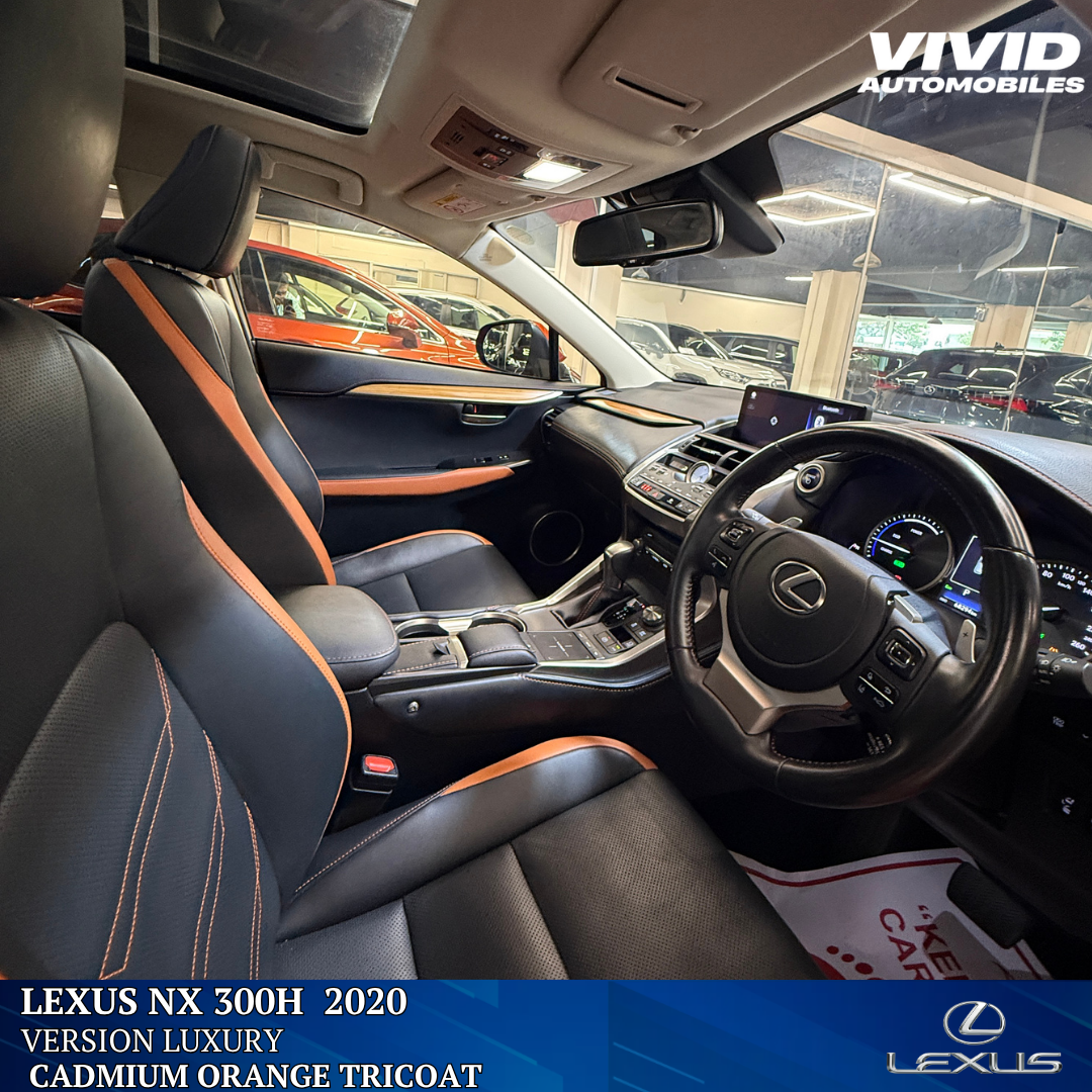 Lexus NX 300H
