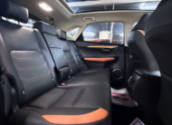 Lexus NX 300H