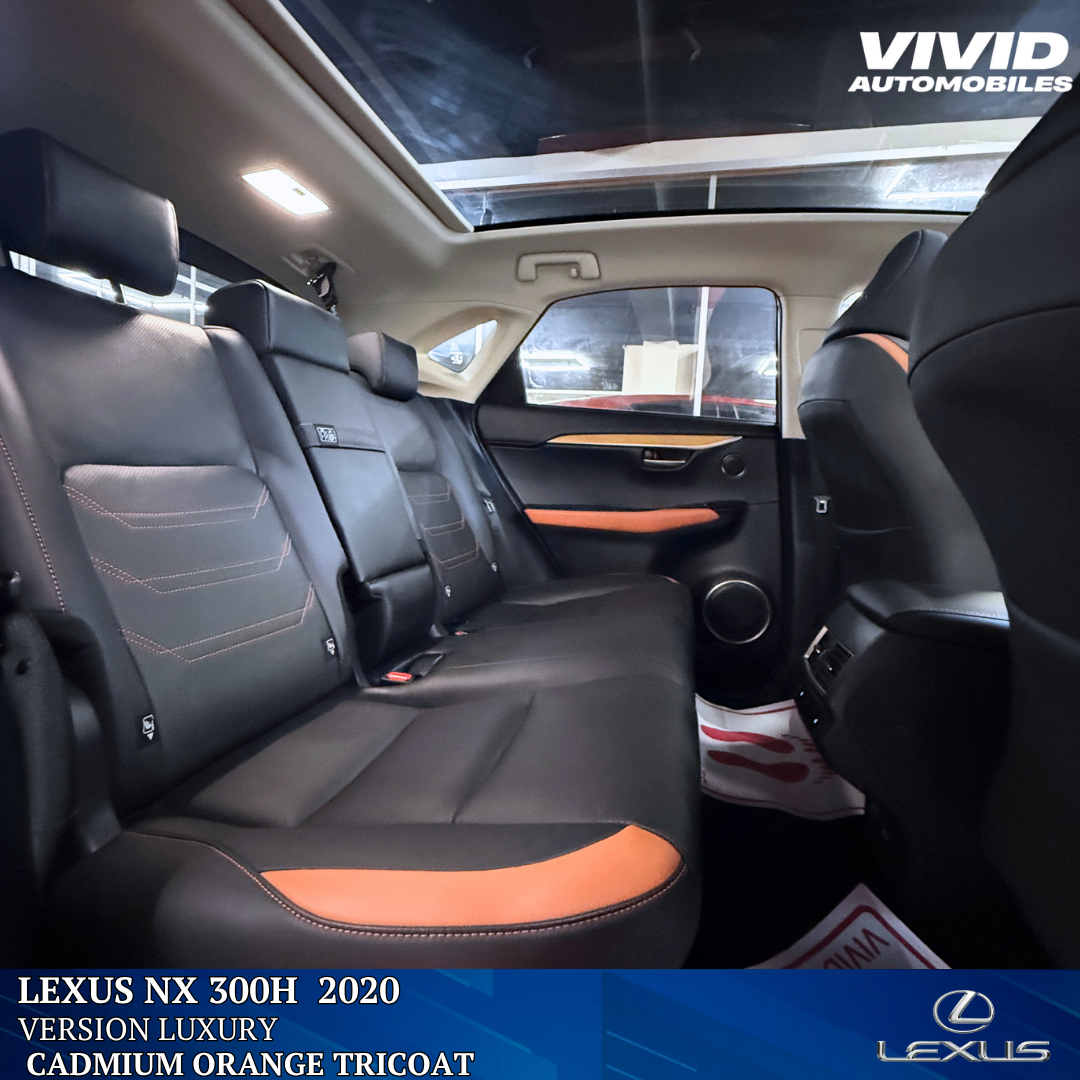 Lexus NX 300H