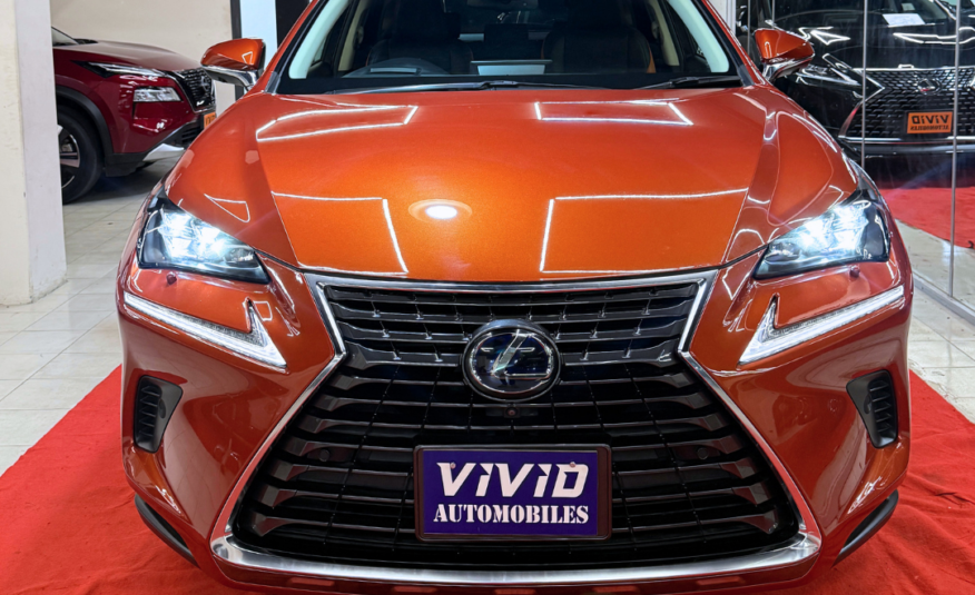 Home 11 Lexus NX 300H