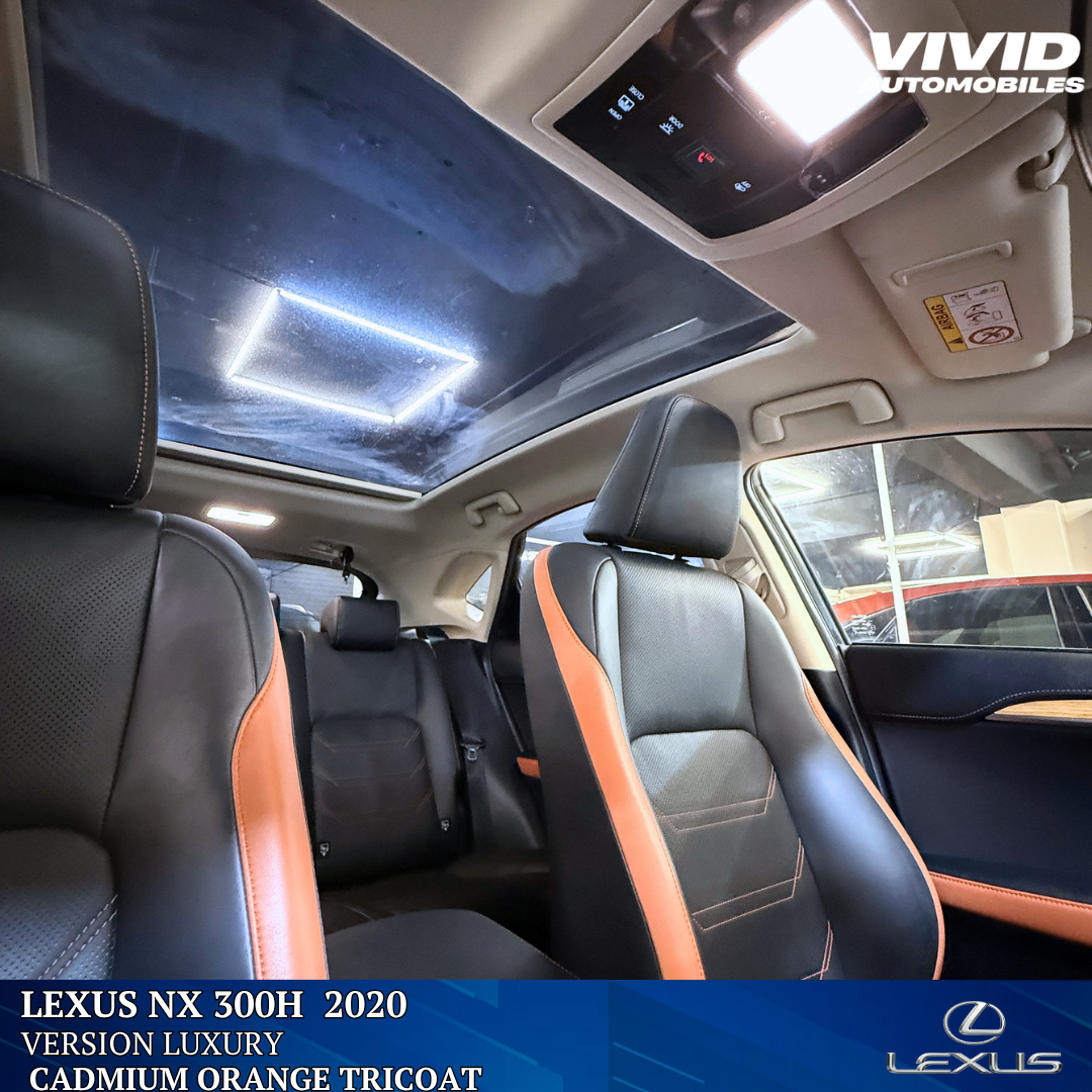 Lexus NX 300H