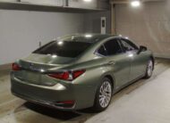 𝐋𝐄𝐗𝐔𝐒 𝐄𝐒 𝟑𝟎𝟎𝐇 𝐕𝐞𝐫𝐬𝐢𝐨𝐧 𝐋 𝟐𝟎𝟐𝟎 𝐒𝐮𝐧𝐥𝐢𝐭 𝐆𝐫𝐞𝐞𝐧