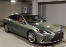 𝐋𝐄𝐗𝐔𝐒 𝐄𝐒 𝟑𝟎𝟎𝐇 𝐕𝐞𝐫𝐬𝐢𝐨𝐧 𝐋 𝟐𝟎𝟐𝟎 𝐒𝐮𝐧𝐥𝐢𝐭 𝐆𝐫𝐞𝐞𝐧