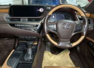 𝐋𝐄𝐗𝐔𝐒 𝐄𝐒 𝟑𝟎𝟎𝐇 𝐕𝐞𝐫𝐬𝐢𝐨𝐧 𝐋 𝟐𝟎𝟐𝟎 𝐒𝐮𝐧𝐥𝐢𝐭 𝐆𝐫𝐞𝐞𝐧