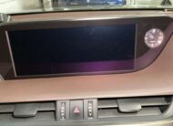 𝐋𝐄𝐗𝐔𝐒 𝐄𝐒 𝟑𝟎𝟎𝐇 𝐕𝐞𝐫𝐬𝐢𝐨𝐧 𝐋 𝟐𝟎𝟐𝟎 𝐒𝐮𝐧𝐥𝐢𝐭 𝐆𝐫𝐞𝐞𝐧