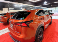 Lexus NX 300H