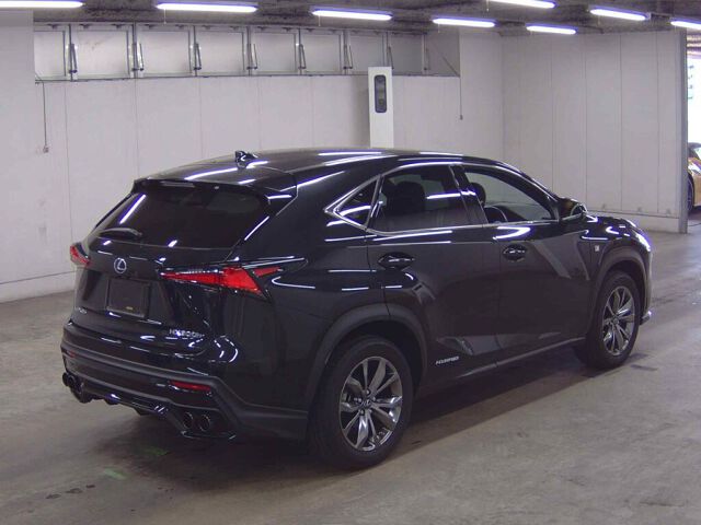 𝐋𝐄𝐗𝐔𝐒 𝐍𝐗 𝟑𝟎𝟎𝐇 𝟐𝟎𝟐𝟎 𝐁𝐥𝐚𝐜𝐤 𝐅 𝐒𝐩𝐨𝐫𝐭