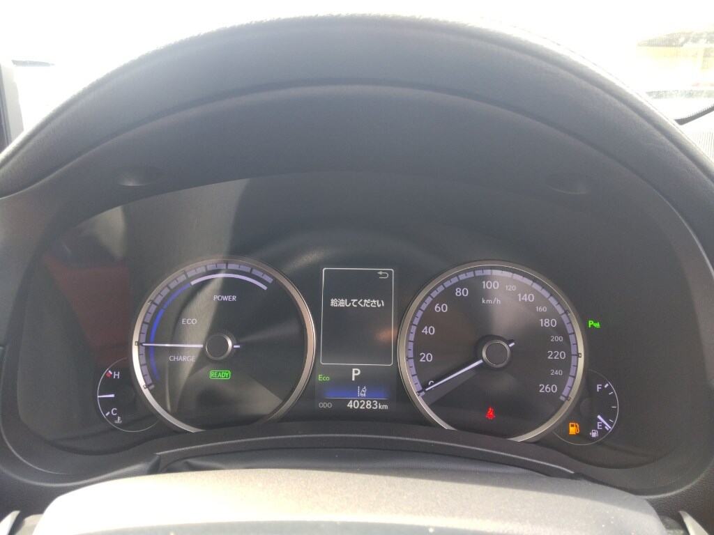 𝐋𝐄𝐗𝐔𝐒 𝐍𝐗 𝟑𝟎𝟎𝐇 𝟐𝟎𝟐𝟎 𝐅 𝐒𝐩𝐨𝐫𝐭 𝐁𝐥𝐚𝐜𝐤