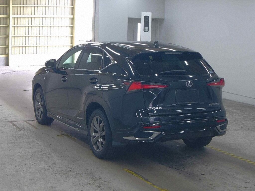 𝐋𝐄𝐗𝐔𝐒 𝐍𝐗 𝟑𝟎𝟎𝐇 𝟐𝟎𝟐𝟎 𝐅 𝐒𝐩𝐨𝐫𝐭 𝐁𝐥𝐚𝐜𝐤