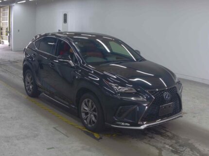 𝐋𝐄𝐗𝐔𝐒 𝐍𝐗 𝟑𝟎𝟎𝐇 𝟐𝟎𝟐𝟎 𝐅 𝐒𝐩𝐨𝐫𝐭 𝐁𝐥𝐚𝐜𝐤