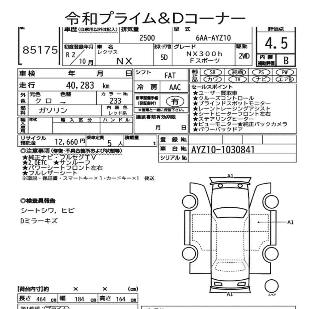 𝐋𝐄𝐗𝐔𝐒 𝐍𝐗 𝟑𝟎𝟎𝐇 𝟐𝟎𝟐𝟎 𝐅 𝐒𝐩𝐨𝐫𝐭 𝐁𝐥𝐚𝐜𝐤