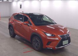lexus nx 300h 2021 fsport (2)
