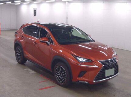 lexus nx 300h 2021 fsport (2)
