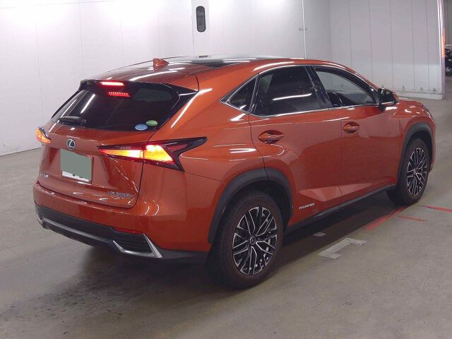 𝐋𝐄𝐗𝐔𝐒 𝐍𝐗 𝟑𝟎𝟎𝐇 𝟐𝟎𝟐𝟎 𝐕𝐞𝐫𝐬𝐢𝐨𝐧 𝐋 𝐑𝐞𝐝𝐰𝐢𝐧𝐞