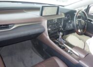 𝐋𝐄𝐗𝐔𝐒 𝐑𝐗 𝟑𝟎𝟎 𝟐𝟎𝟐𝟎 𝐕𝐄𝐑𝐒𝐈𝐎𝐍 𝐋 𝐆𝐑𝐀𝐘