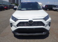 𝐓𝐎𝐘𝐎𝐓𝐀 𝐑𝐀𝐕𝟒 𝟐𝟎𝟐𝟎